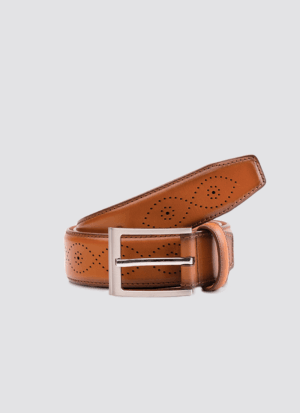 Hadley Belt