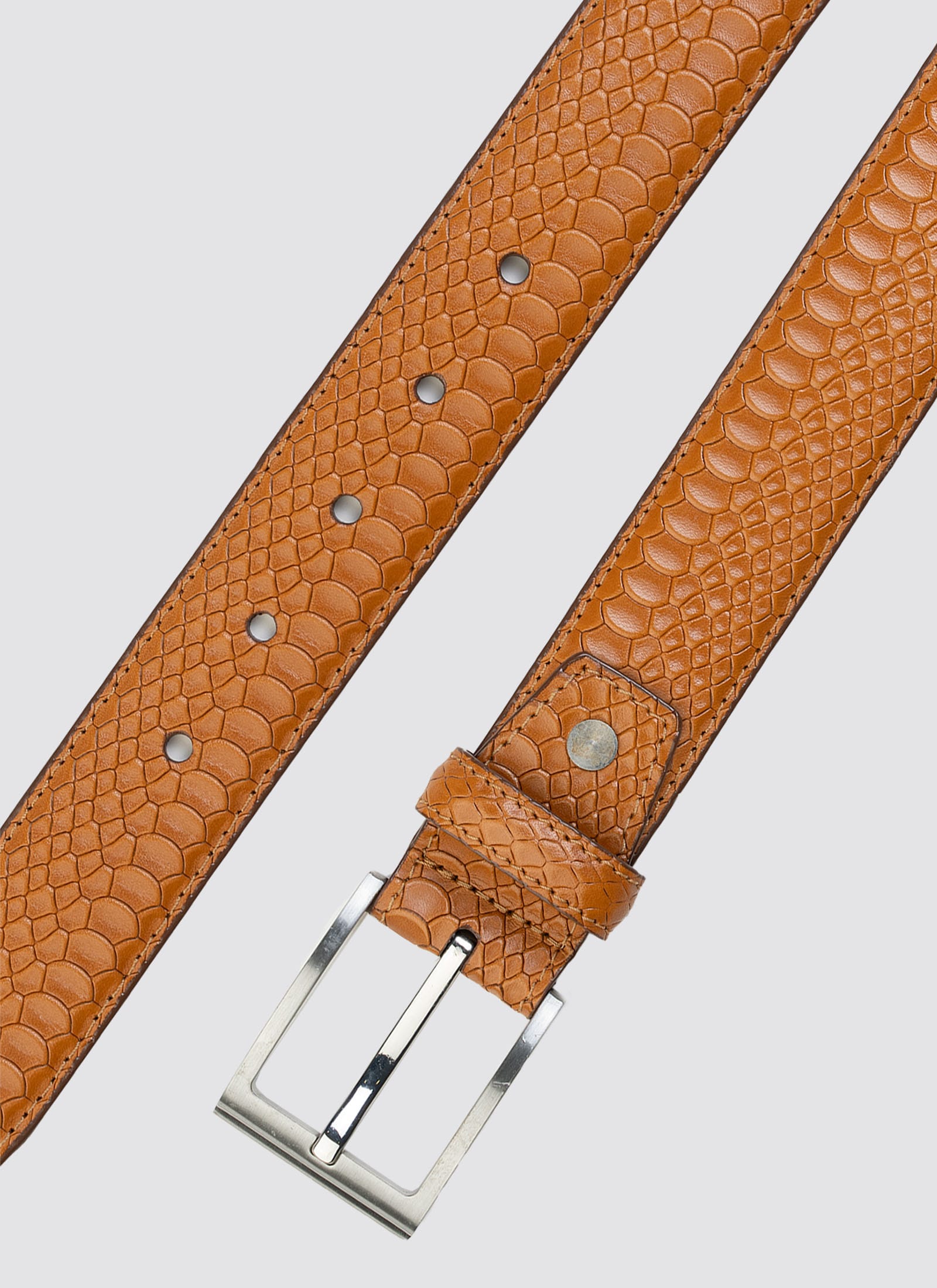 Travis Belt - Image 3